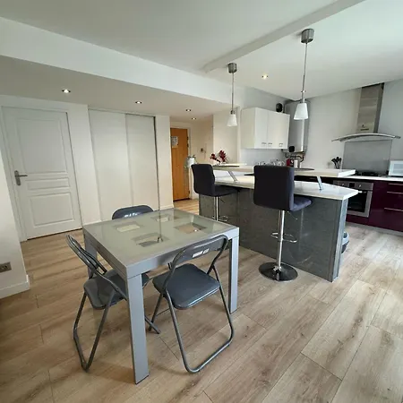 Beautiful Renovated 1 Garden Box Eurexpo-lyon- Stadium Apartamento